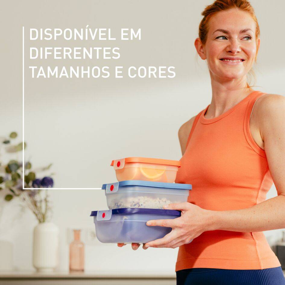 OneClick, Set de 3 caixas 0,50L / 1,2L / 2,3 L