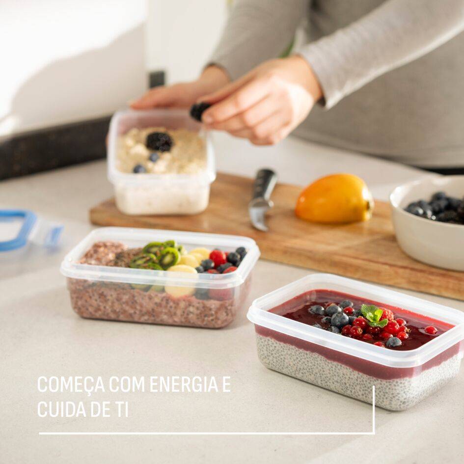 Masterseal Plástico, Set 3 caixas 2,3 L + 1 L + 0,55 L